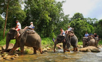 Elephant Trekking and Safari Adventures