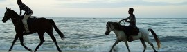 Phuket-Horseback-Riding